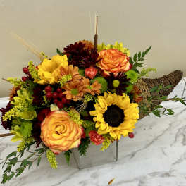 Cornucopia