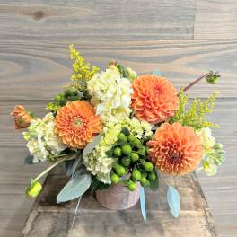 Pumpkin Cream