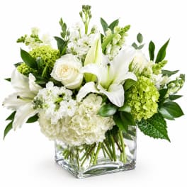White Elegance