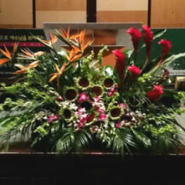 PODIUM ARRANGEMENT 100 [TTPOD100]