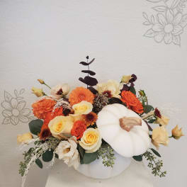 White Pumpkin
