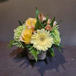 Yellow roses and a pale gerbera daisy in a square vase