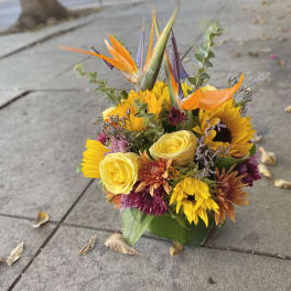 Bouquet with yellow roses, sunflowers, and bird of paradise in a green container