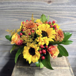 Amber Blooms