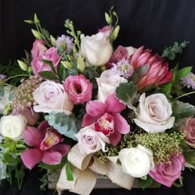 Send White Orchids Houston Tx Flower Delivery Bloomnation