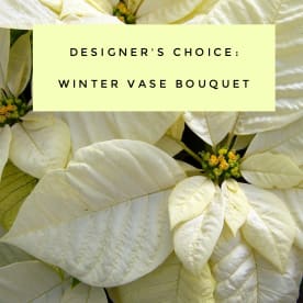Designer's Choice - Winter Vase Bouquet