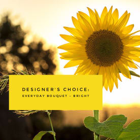 Designer’s Choice - Everyday Bouquet - Bright