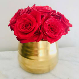bloomnation