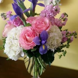 Send Daffodils North Palm Beach Fl Flower Delivery Bloomnation