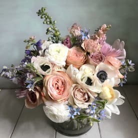 Send Delphinium Santa Monica Ca Flower Delivery Bloomnation