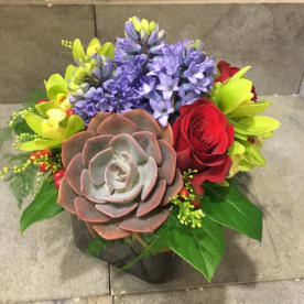Send Succulents Spokane Valley Wa Flower Delivery Bloomnation
