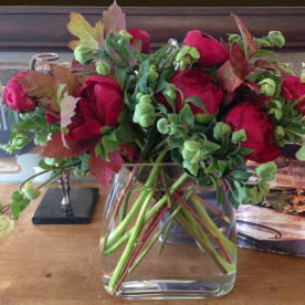 Jasmine Blue Flowers Plants Gifts Send Peonies Flower Delivery Sherman Oaks Ca