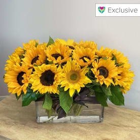 Send Flowers Palos Verdes Estates Ca Flower Delivery Bloomnation