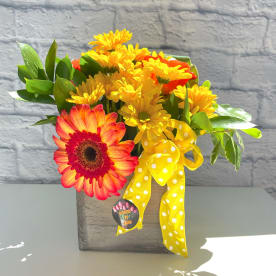 Send Sunflowers Logan Ut Flower Delivery Bloomnation