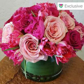 Send Flowers Scottsdale Az Flower Delivery Bloomnation