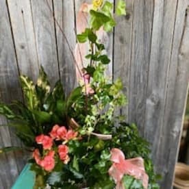 Flowers By Adela Sugar Land Tx Florist