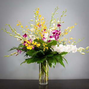 Tall orchid arrangement in a clear glass vase with white, purple, and yellow blooms