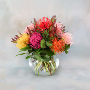 Pincushion Protea Mix (SF413)