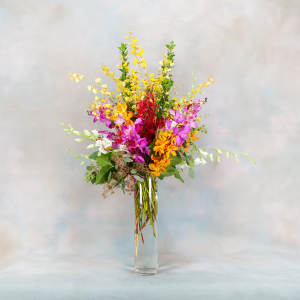 Tall mixed orchid arrangement in a clear glass vase