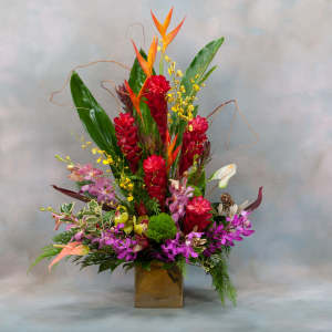 Tropical flower arrangement in a square vase with red, orange, and purple blooms