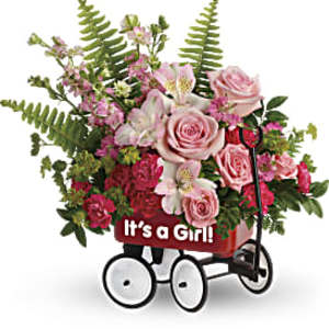 Pink and red mixed flower arrangement in a small red wagon container labeled 'It's a Girl!'