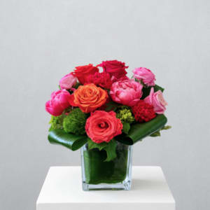 Peony Punch