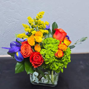 Sunset Garden Pop