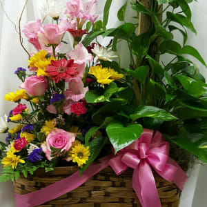 Basket arrangement with pink and yellow flowers and a large green plant