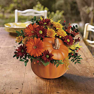 Country Pumpkin
