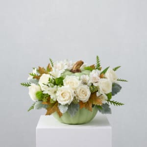 White roses and small white flowers arranged in a green pumpkin container