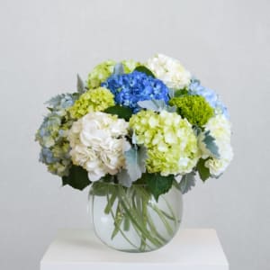 Round arrangement of blue, green, and white hydrangea-style blooms in a clear glass bowl vase.