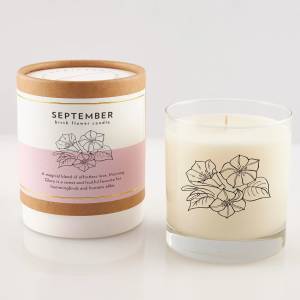 Two September birth flower candles, one in a box and one in a glass jar