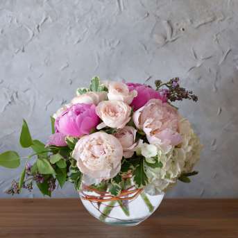 Pampered Peony