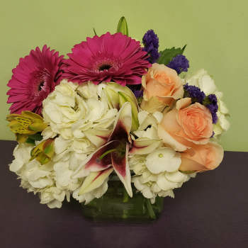 The Beauty of Spring