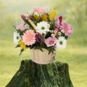 Pastel mixed flower basket with daisies, gerberas, and roses on a tree stump outdoors