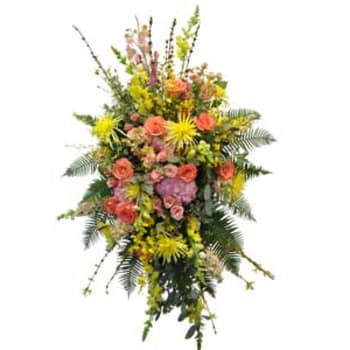 K613 Brilliant Farewell Easel Spray