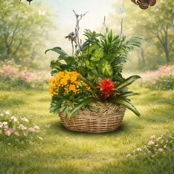 Wicker basket garden with mixed green plants, yellow flowers, and a red tropical bloom on a grassy meadow backdrop.