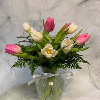 Pink and white tulips in a glass vase with a white ribbon