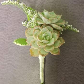 Succulent boutonniere with pale green rosettes and small white filler flowers