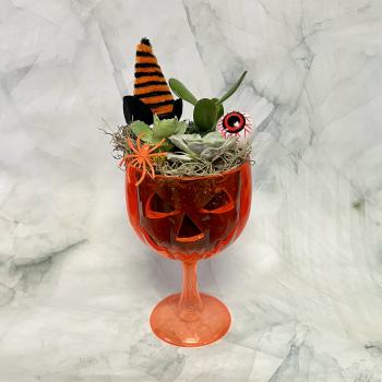Halloween succulent arrangement in an orange jack-o'-lantern goblet