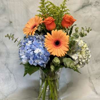 Bouquet of orange gerbera daisies, roses, and blue hydrangeas in a glass vase