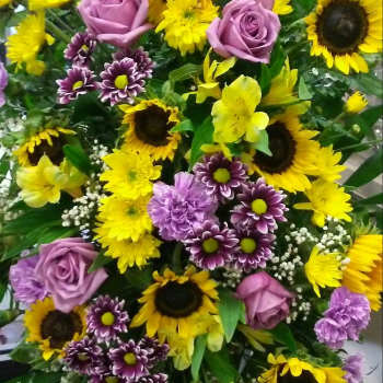 Bouquet of yellow sunflowers, purple roses, and purple daisies