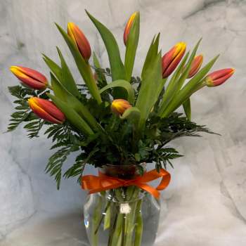 Orange and yellow tulips arranged in a clear glass vase with a ribbon.