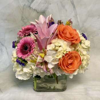 The Beauty of Spring