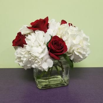 Red roses and white hydrangeas in a square glass vase
