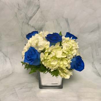 Blue roses and white hydrangeas in a square glass vase