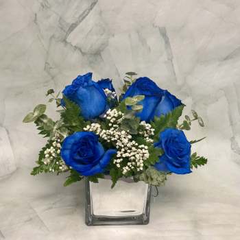Blue roses in a clear square vase with baby's breath