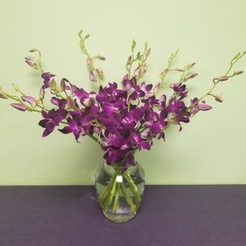 Purple orchids arranged in a clear glass vase