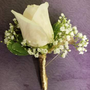 White rose boutonniere with baby's breath and gold wrap