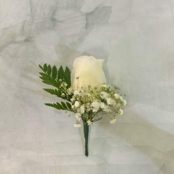 Simple White Rose Boutonnière
